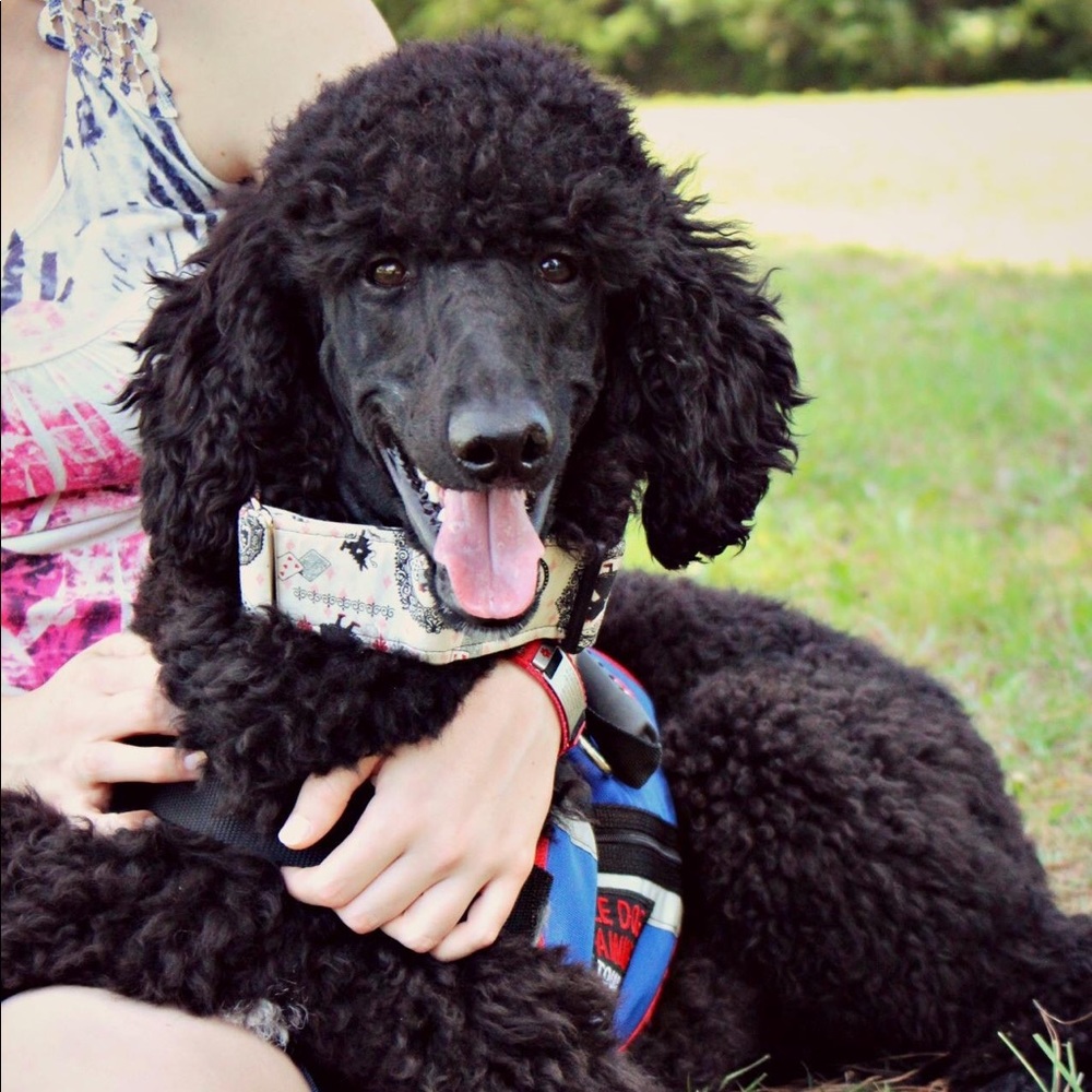 Meet your Posher, Emily